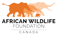 African Wildlife Foundation Logo